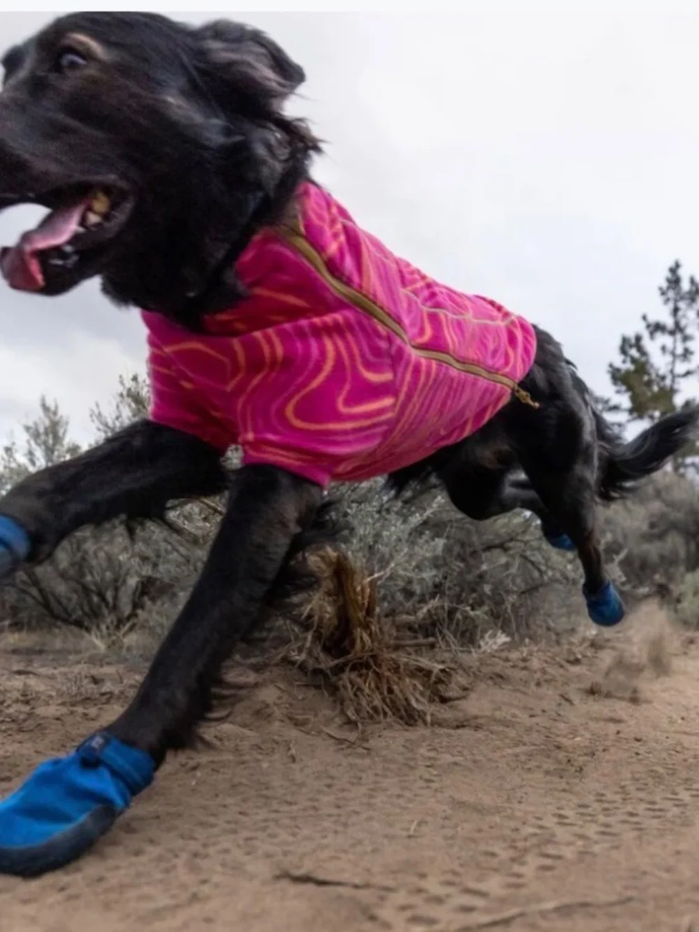 RuffWear one pair